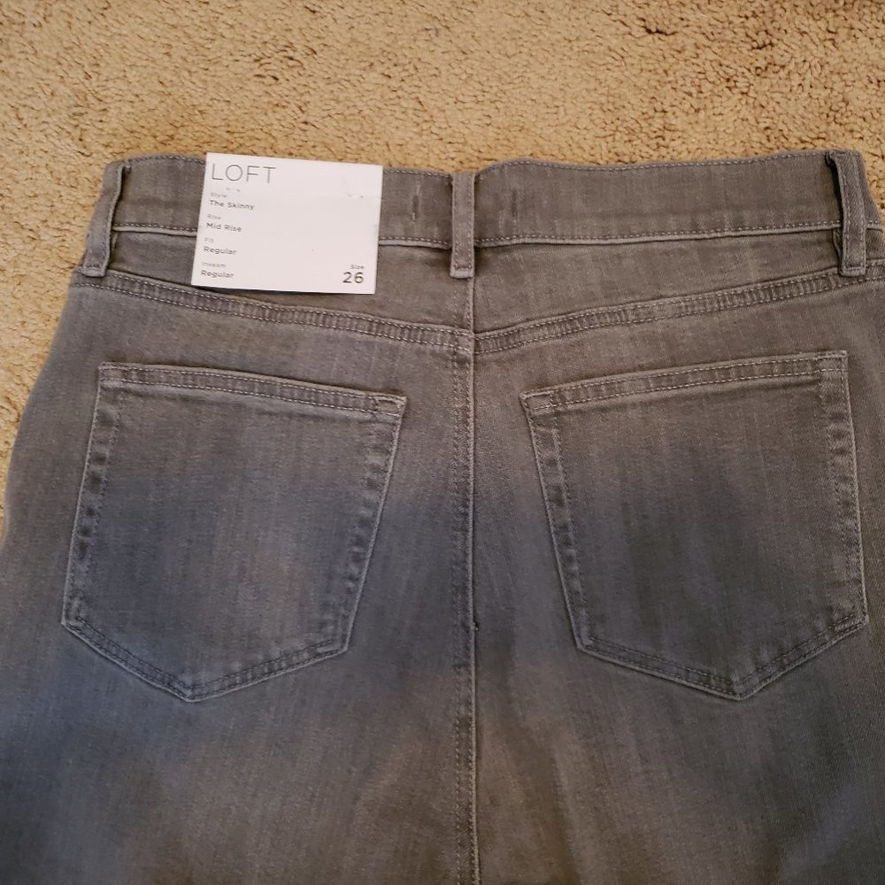 Ann Taylor Loft The Skinny Jeans